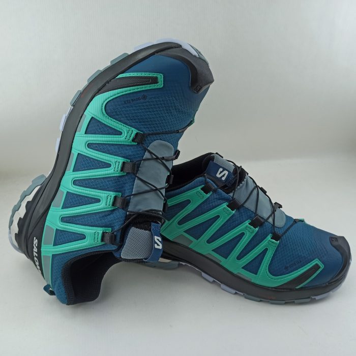 Salomon gore-tex